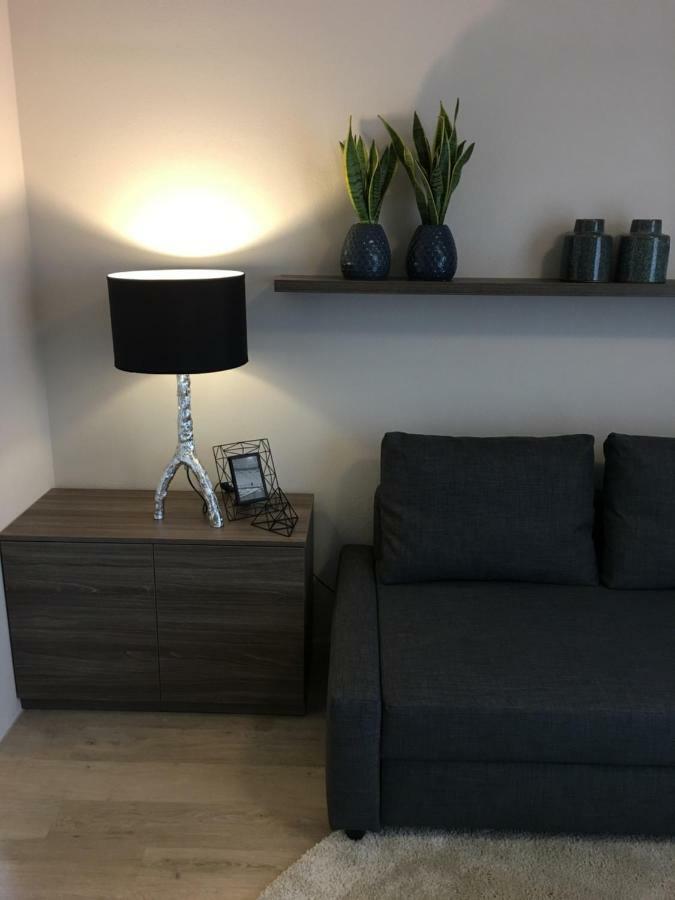 Modry Apartman โดลนี โมราวา ภายนอก รูปภาพ